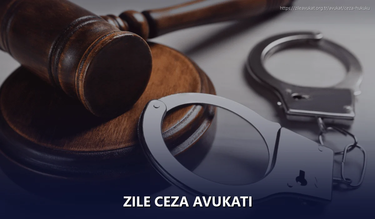 Zile Ceza Avukatı